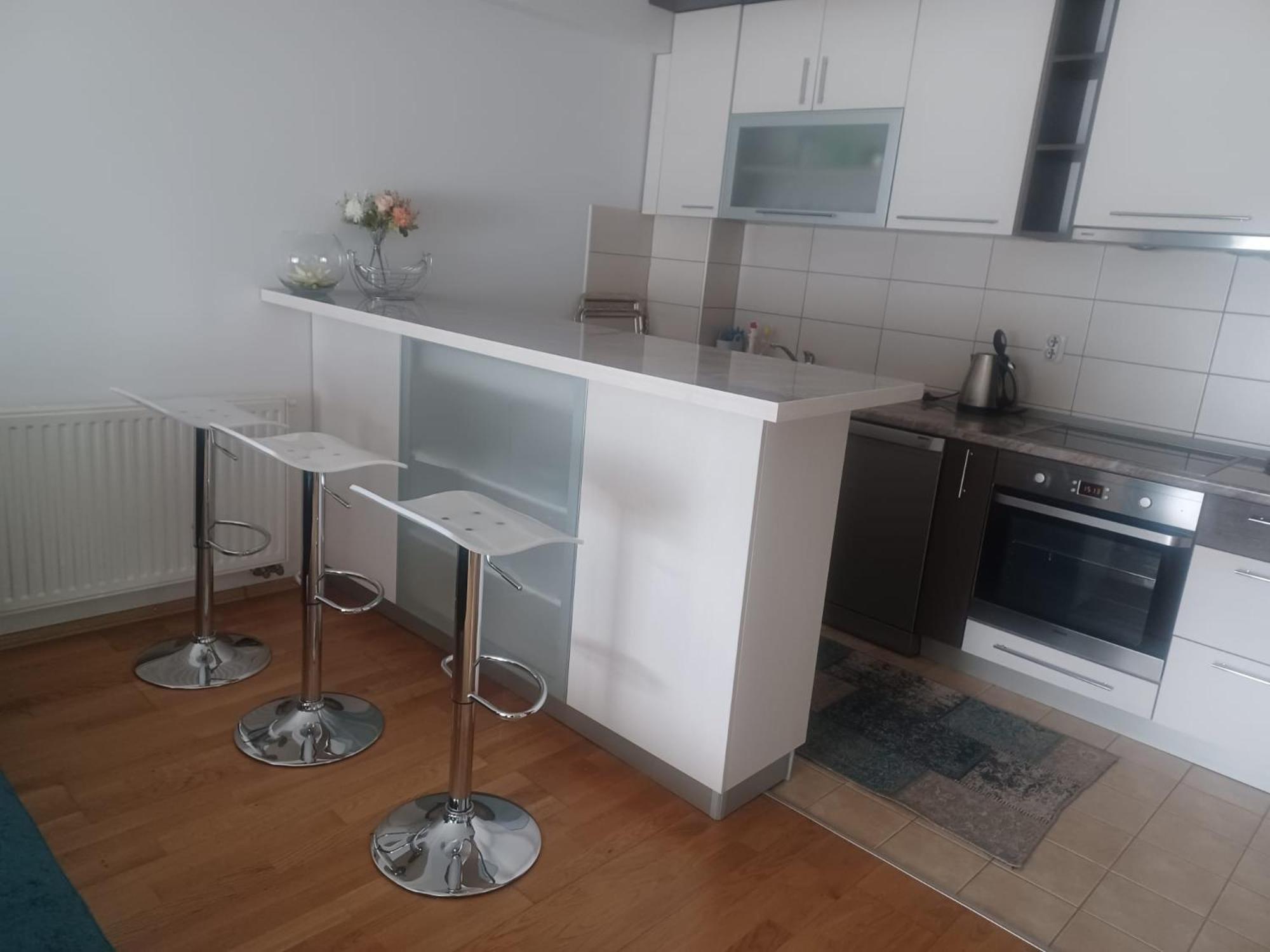 Sarajevo Apartment Ilidza エクステリア 写真